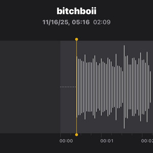 Bitchboii by Zamirr