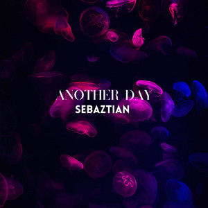 Another Day - Radio Edit by Sebaztian
