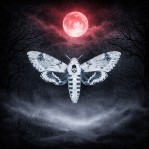 hbbbssuuuu - Love Me (feat. MDMA)