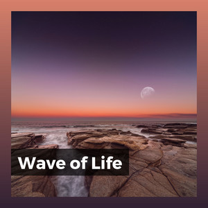 Wave of Life album
