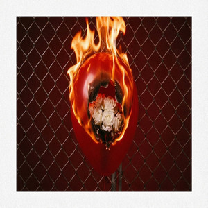 Smoke and Mirrors by dark & sexy