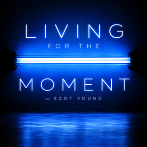 LIVING FOR THE MOMENT by Scot Young