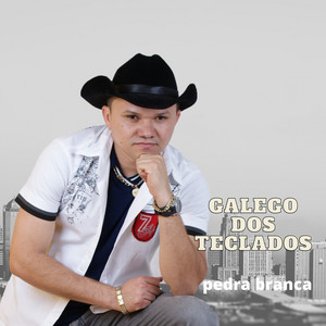 Galego dos Teclados - Mulher Ingrata e Fingida