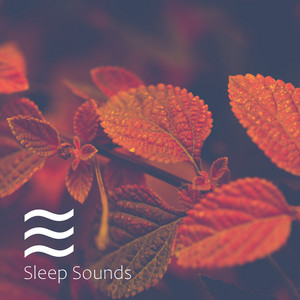 Smooth Sober ASMR Noise for Sleep
