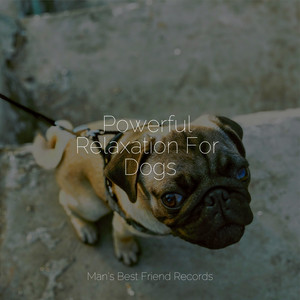 Powerful Relaxation For Dogs album