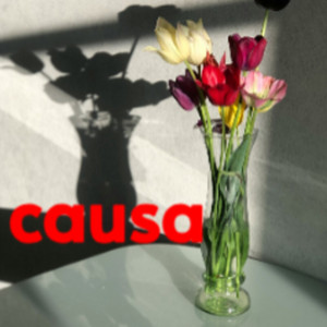 causa by Kaco flow