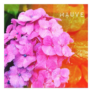 yukibassist - mauve