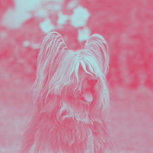 Music for Night Walks (Piano Duo) album