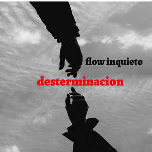 Desterminacion by FLOW.INQUIETO