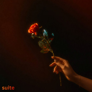 Suite by Faizan, RYDM