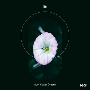 Moonflower Dreams by Elia