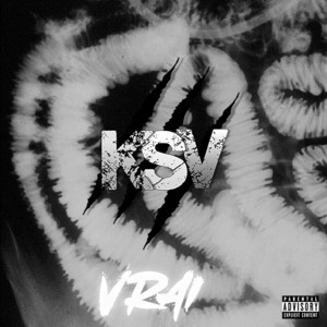 Portada de Vrai