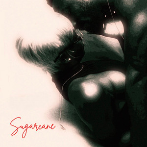 Sugarcane by Oladapo