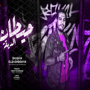 حيطان الديقه