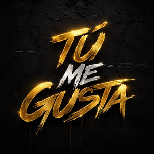 Tu me gusta by Kyzzo MC