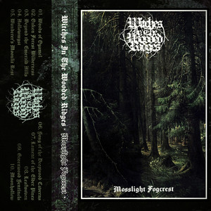 Beyond the Emerald Hills by Witches In The Wooded Ridges
