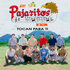 No Te Puedo Olvidar by Los Pajaritos De Tacupa