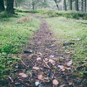 Petit Chemin by Bartihs Album Cover