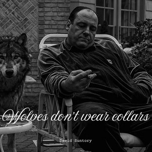 Wolves don't wear collars by David Suntory
