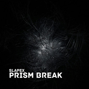 Prism Break (Radio Edit) by Slapex