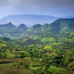 Sylversky - Ethiopia Spiritual