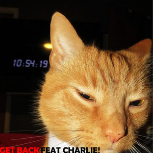 GET BACK
