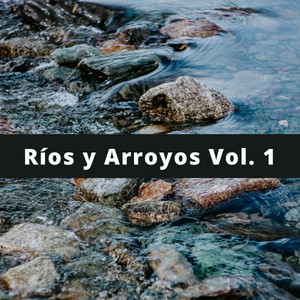Ríos y Arroyos Vol. 1 album