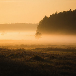 Golden Mournings by EKA SYAHFITRI NG7