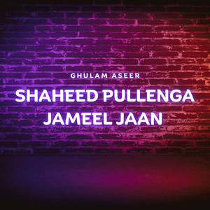 Ghulam Aseer - Shalkot