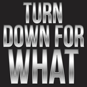 DJ Hitz - Turn Down For What (Instrumental Mix)