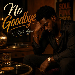No Goodbye by Dj Night Affair