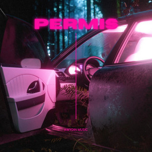 Awydin - PERMIS