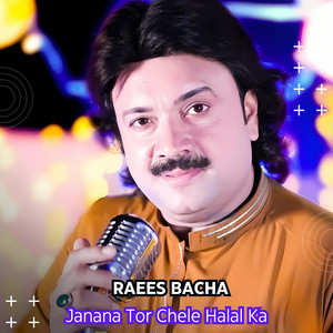 Raees Bacha - Janana Tor Chele Halal Ka