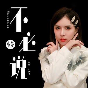 不必说（DJheap九天版） by 小曼