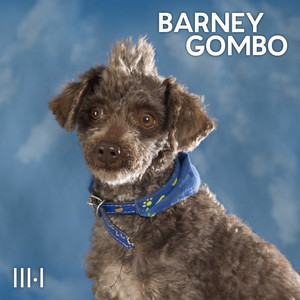 Préstame un Sentimiento by Barney Gombo