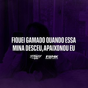 DJ Stanley & Funk SÉRIE GOLD - Fiquei Gamado Quando Essa Mina Desceu, Apaixonou Eu