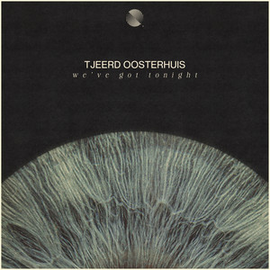 We've Got Tonight by Tjeerd Oosterhuis