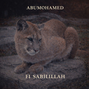 Fi Sabilillah by abumohamed