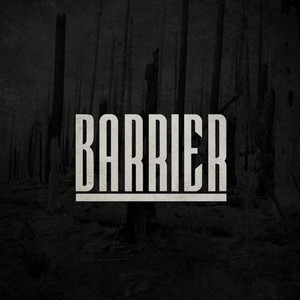 The Struggle by Barrier
