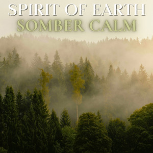 Somber Calm