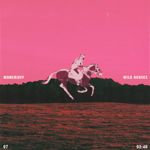 Wild Horses