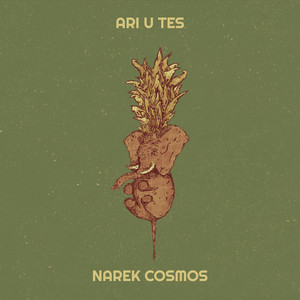 Ari U Tes by Narek Cosmos