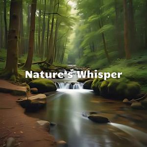 SATOSHI - Nature’s Whisper