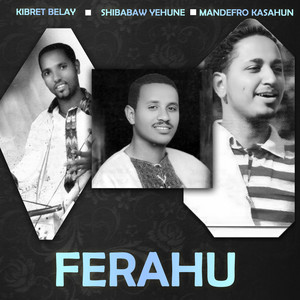 Mandefro Kasahun - Yewolo Sew