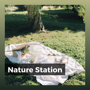 Nature Station album