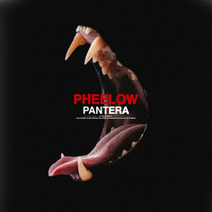 Pantera by Pheelow