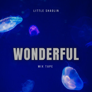 LITTLE SHAOLIN - Wonderful mix tape