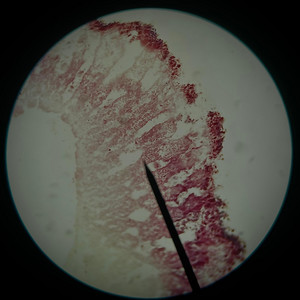 Zay Xclusive - icfwy