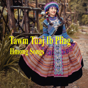 Hmong Songs - Tawm Tuaj Ib Pliag