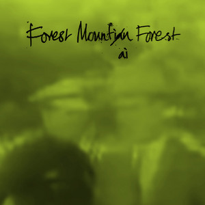 Forest Mountain Forest